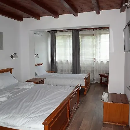 Guest house Casa Galand Parscov